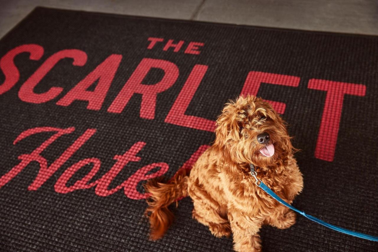 The Scarlet, Lincoln, A Tribute Portfolio Hotel Εξωτερικό φωτογραφία